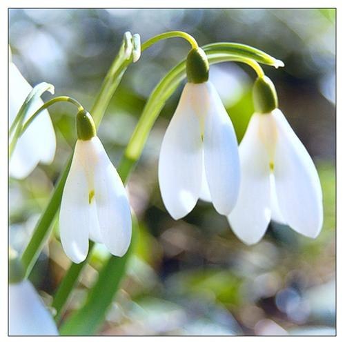 Зоя Никова *&* | Москва