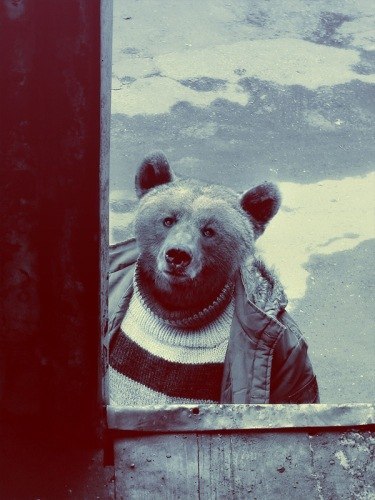 Николай Зечихин | Москва