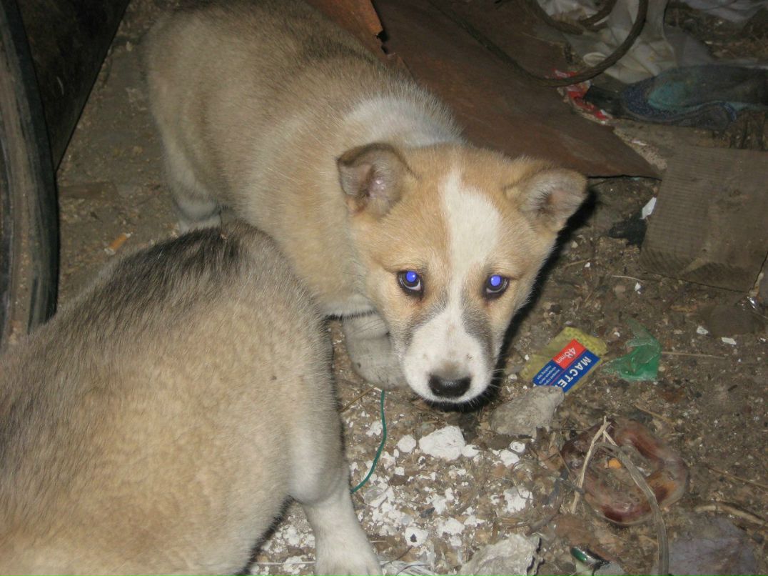 Ирка Горбачева | Одесса