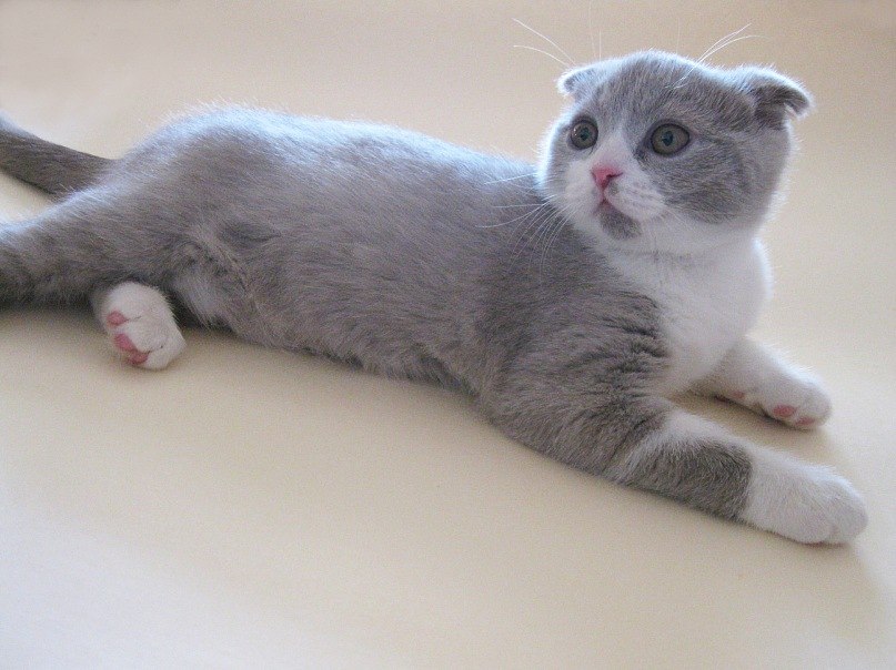 Юлия Мартынова | Москва