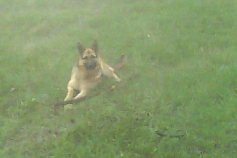 Тёма Михайлец | Кривой Рог