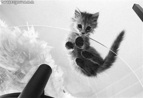 №6, Владислав Дискаев №6, Владислав Дискаев