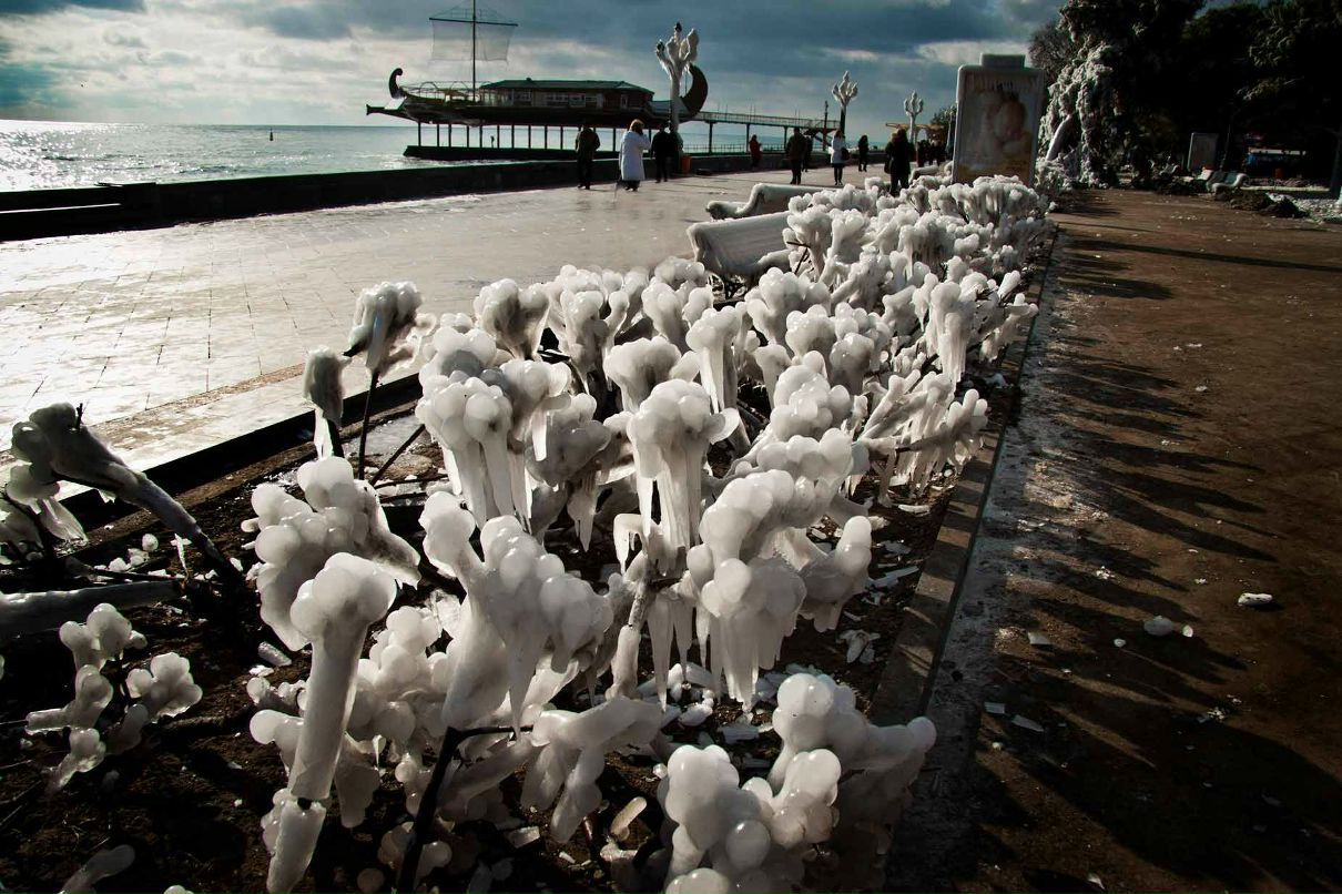 Таня Канаева | Ялта (пгт)