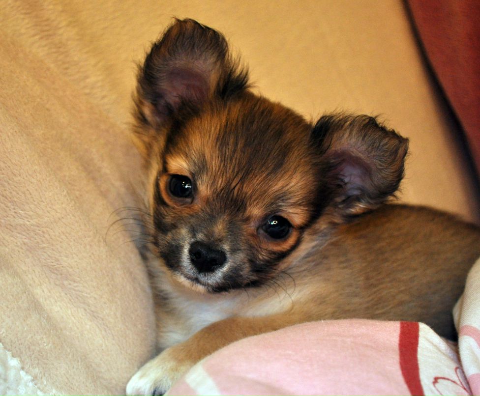 Милена Иванова | Кострома