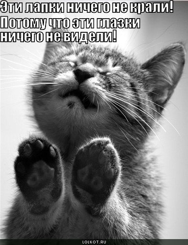 Вадим Голышев | Москва