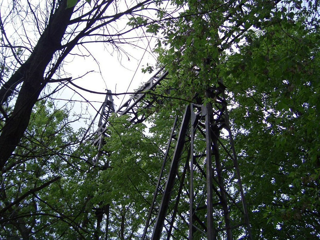 Wedge Antillies | Саратов