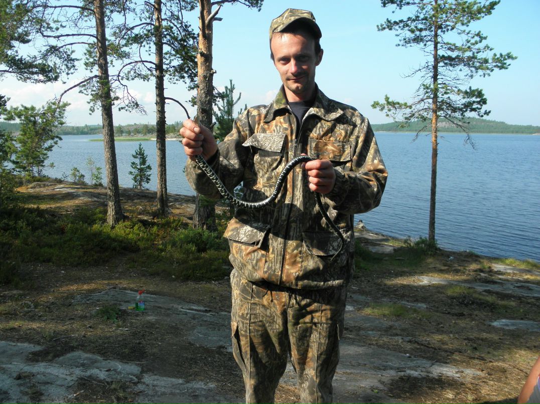 Игорь Петров пиджик | Санкт-Петербург