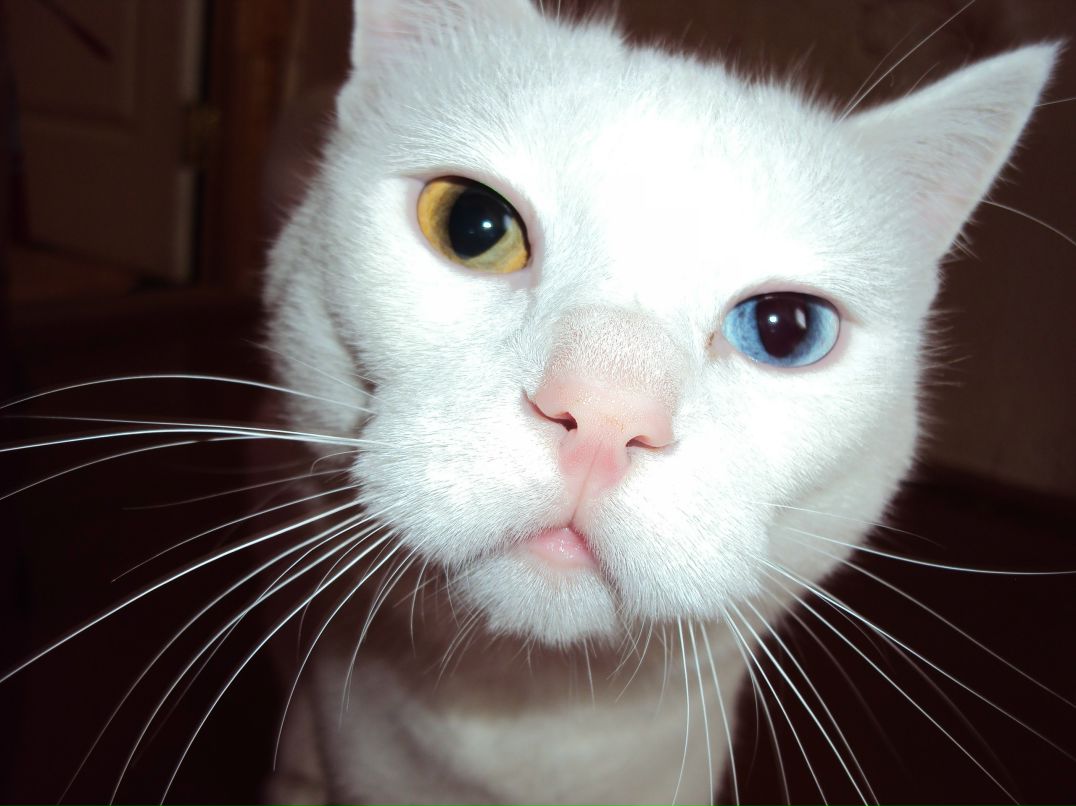 Наташечка Ирискина | Ачинск