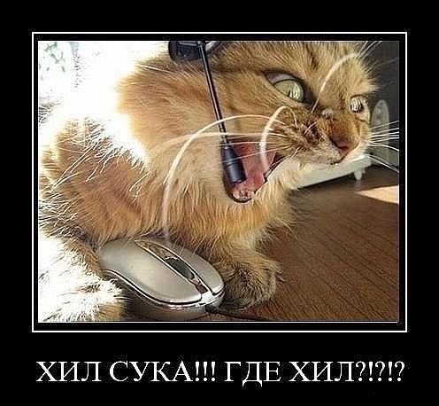 №63, Ігорко Змислий, 32 года, Львов №63, Ігорко Змислий, 32 года, Львов