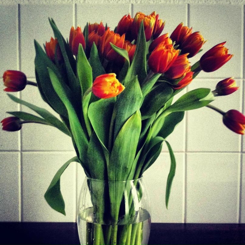 Настя Вергазова | Москва