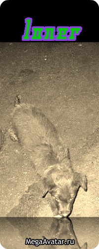 №14, Денис Кравчук, 33 года, Бердичев №14, Денис Кравчук, 33 года, Бердичев