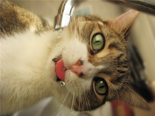 Илья Косничев .ιllιlι.ιl. | Москва