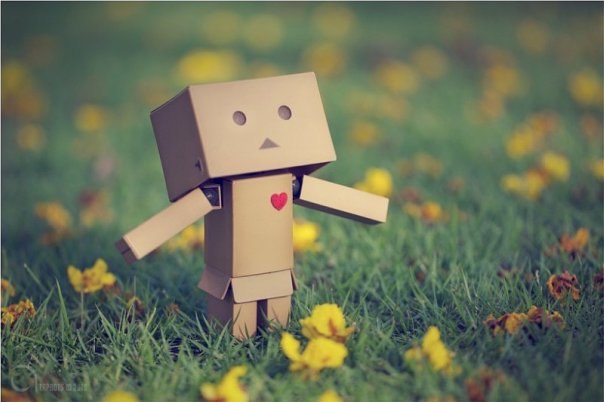 Юра Кастранець | Тернополь