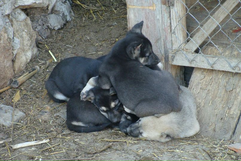Вова Федус | Тернополь
