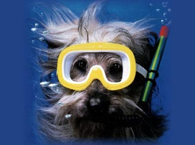 №175, Дмитрий Иващенко, 42 года, Симферополь №175, Дмитрий Иващенко, 42 года, Симферополь