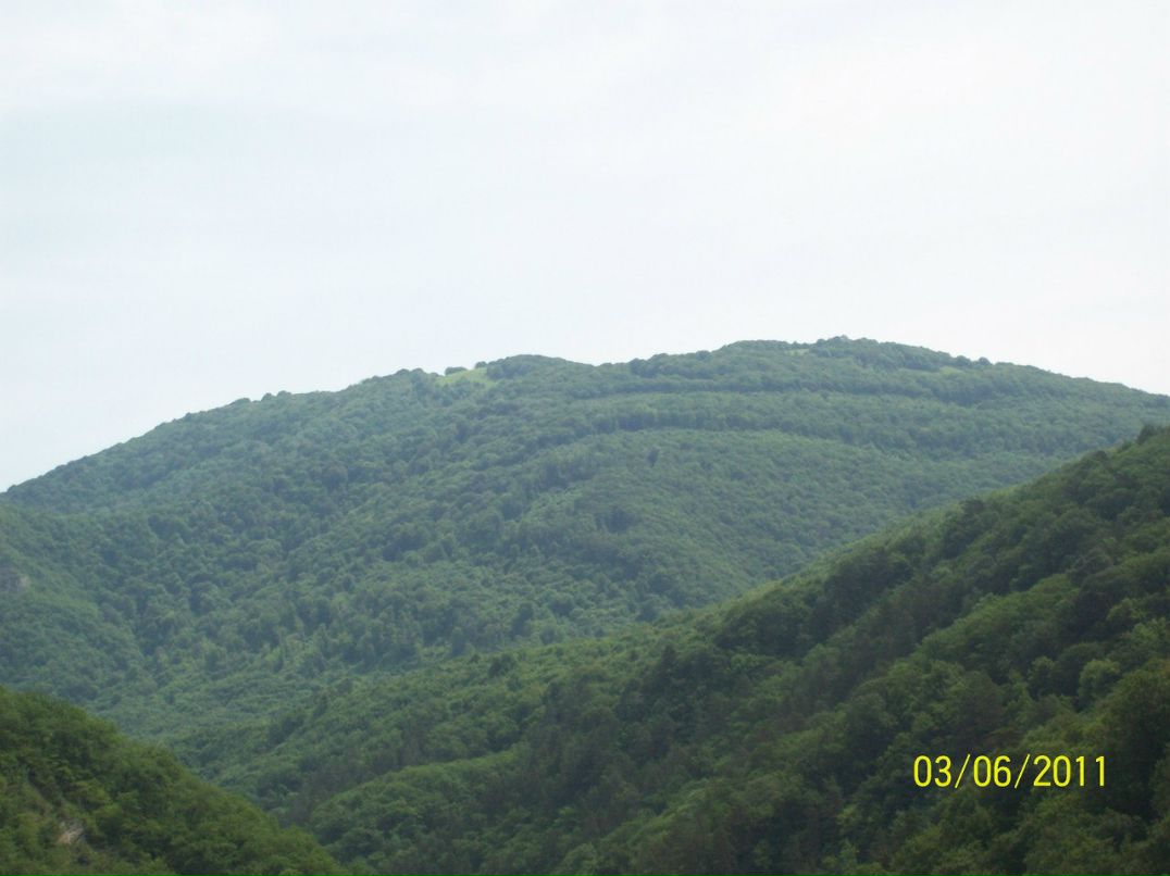 Мирослав Коваленко | Геленджик