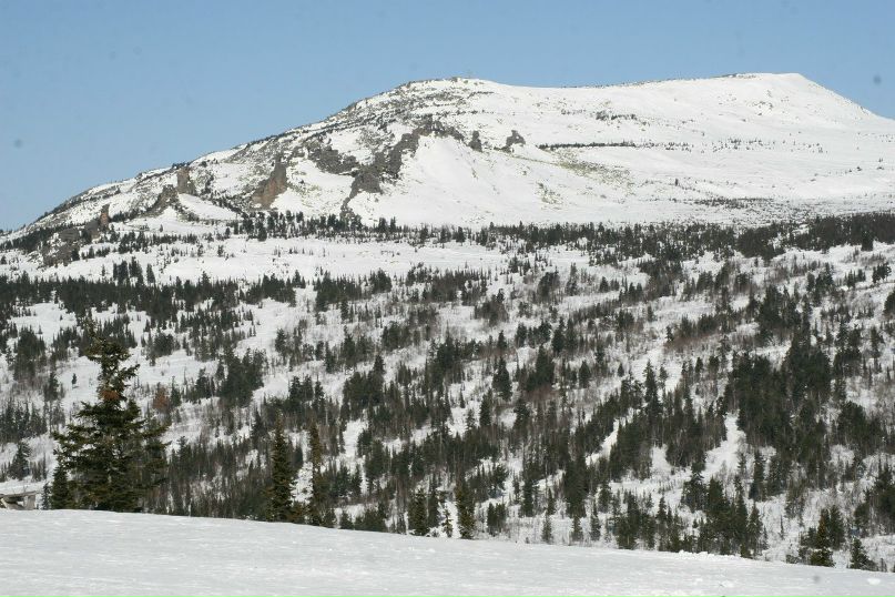 Александр Уткин | 
