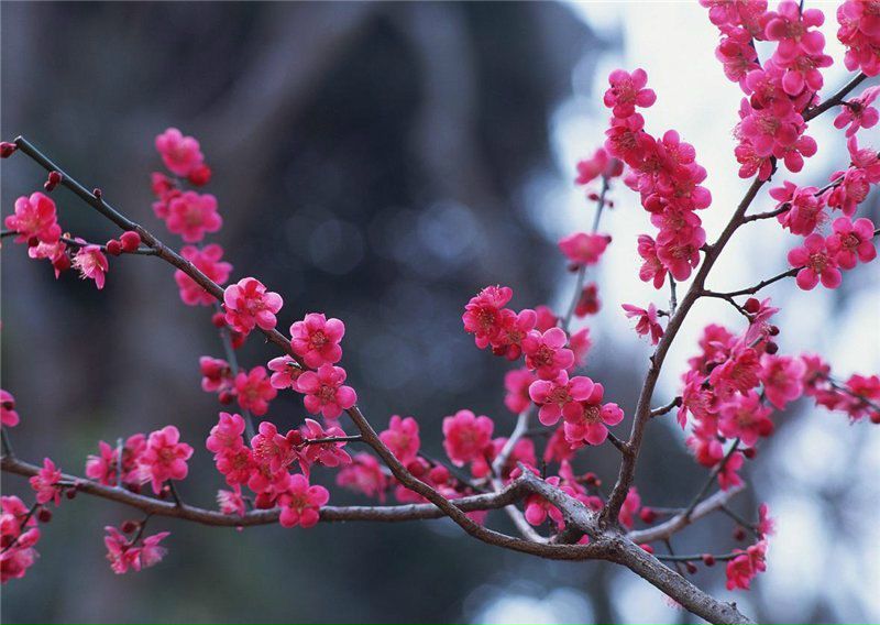 №89, Ольга Майсанова, 38 лет, Севастополь №89, Ольга Майсанова, 38 лет, Севастополь