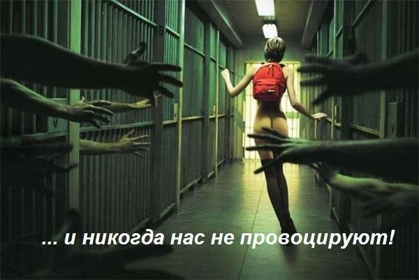 Арсений Шафоростов Flash | Солнечный