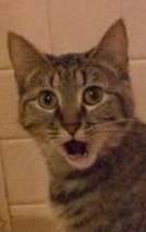 Жека Московчук | Запорожье