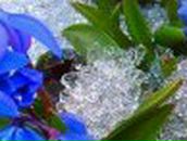 Сергей Антко - и - Светлана | Николаев