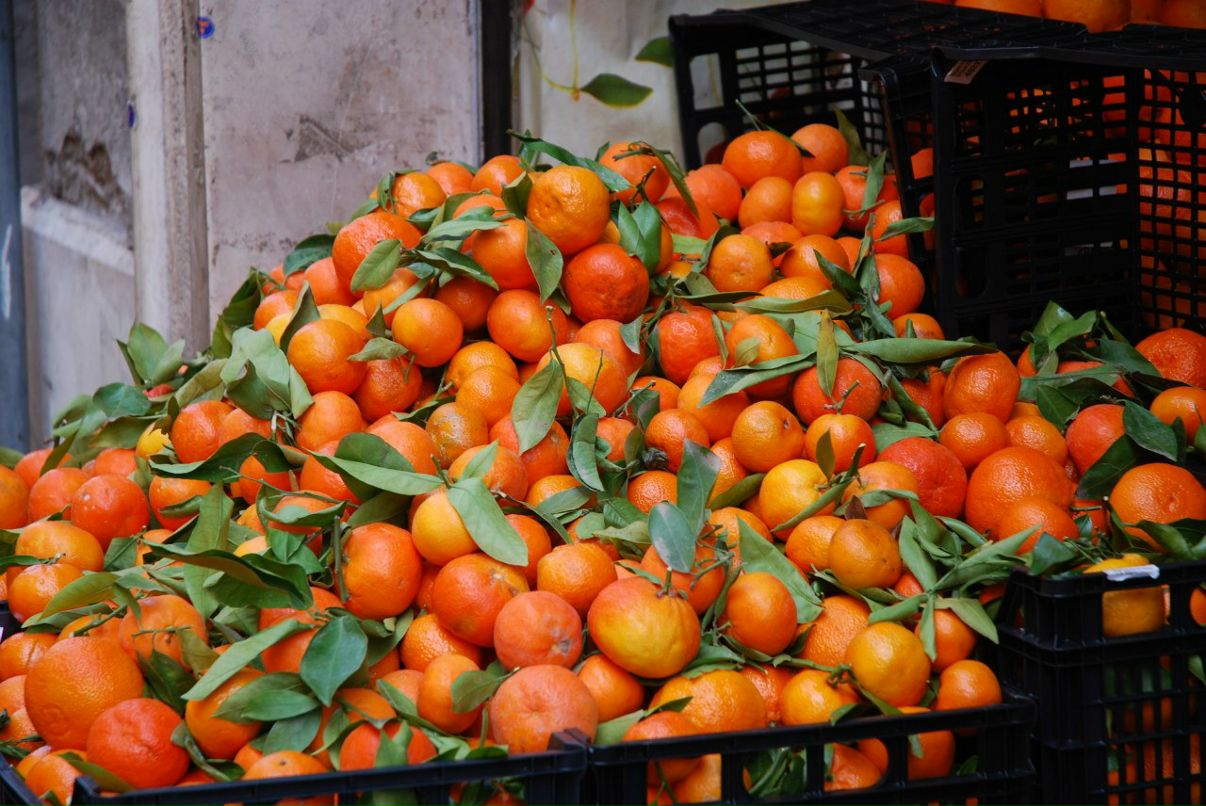 Alla Efimova | Санкт-Петербург