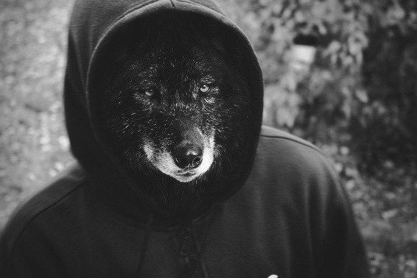 Серёга Кухаренко | Николаев