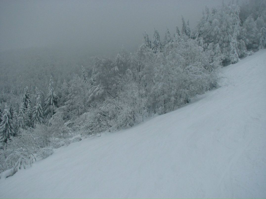 Александр Кривобок | Днепр (Днепропетровск)