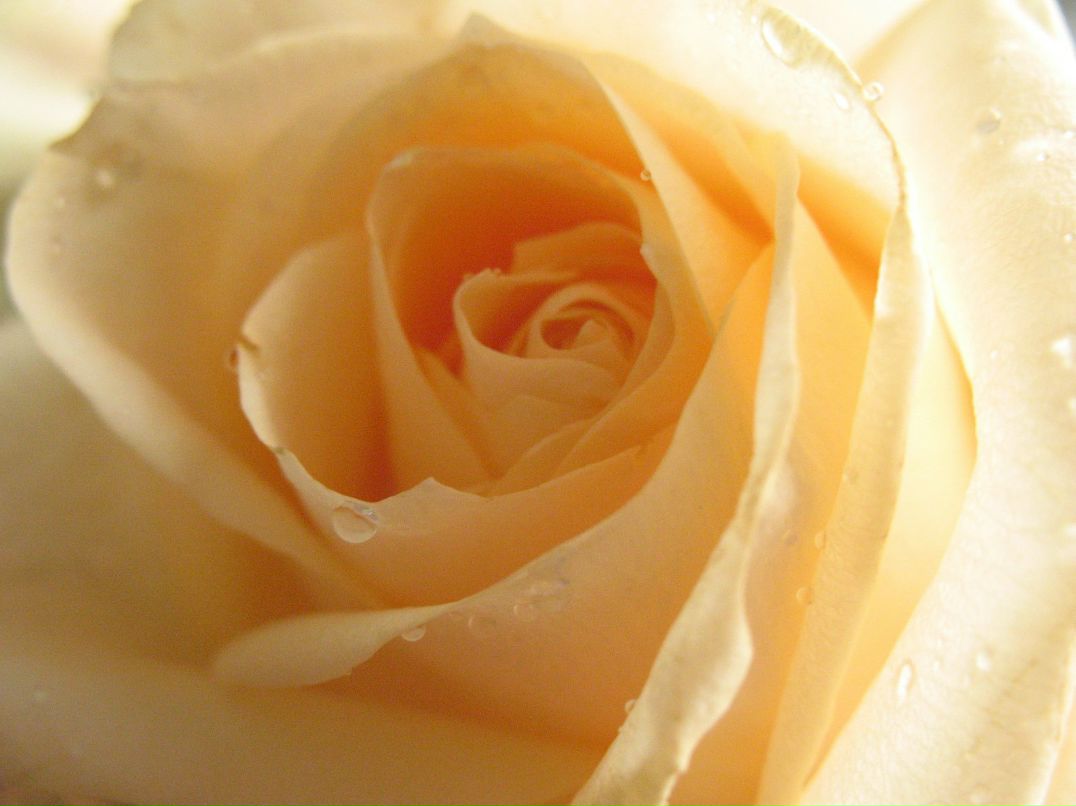 Светлана Филатова | Павловский Посад