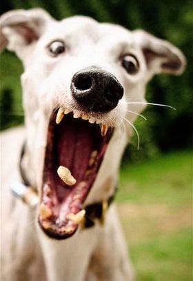 №36, Александр, Минск №36, Александр, Минск