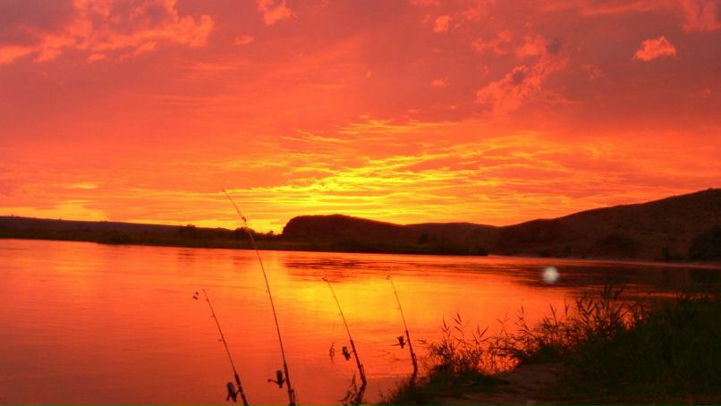 Дмитрий Долгалёв | Алматы