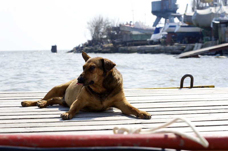 Miroslava Miroslavochka ~ angel ~ | Ростов-на-Дону