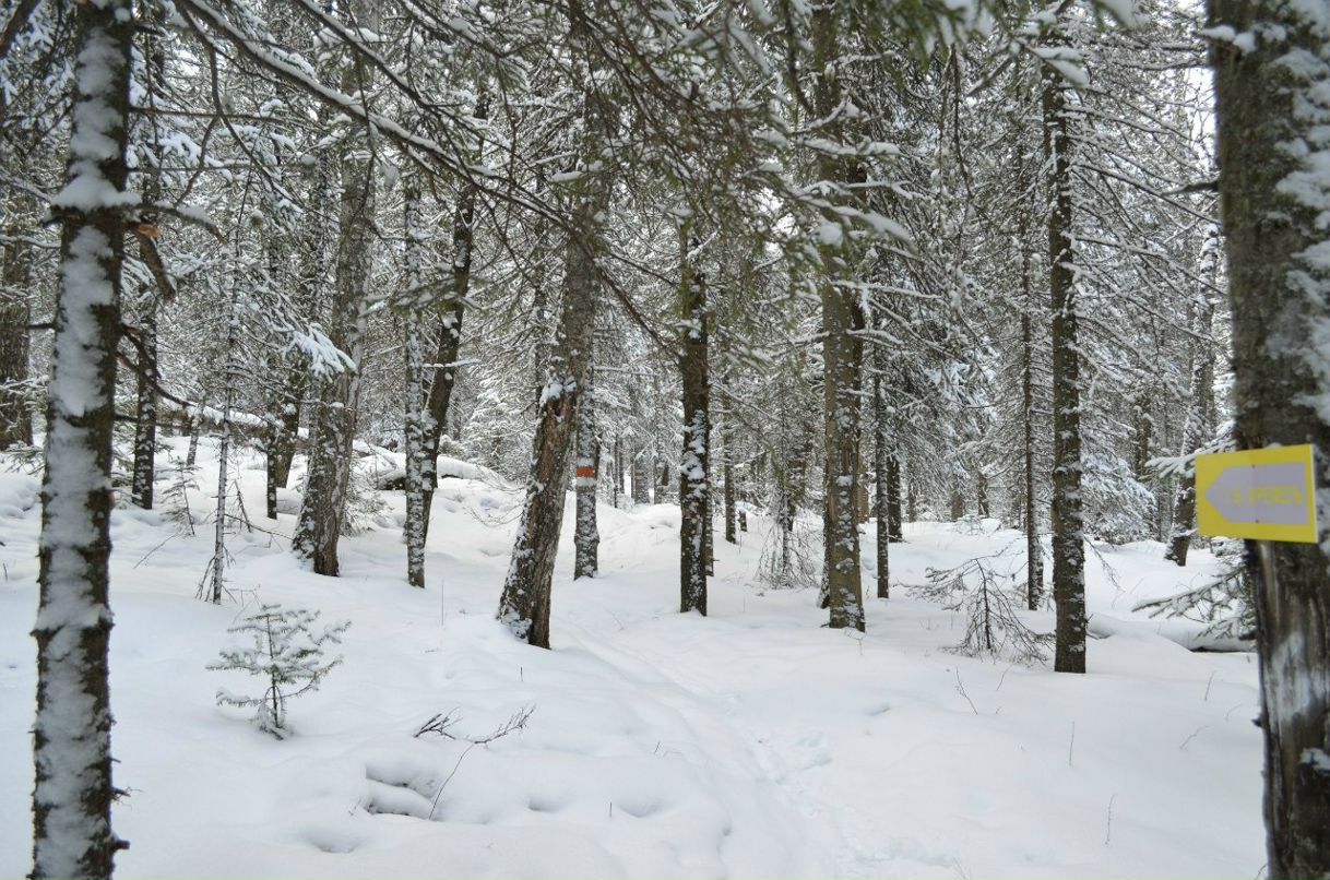 Семен Семенов | Тюмень