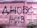 №25 Наташа Камалетдинова