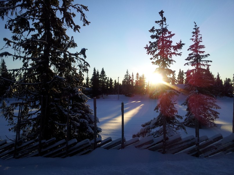 Oksana Semenova | Oslo