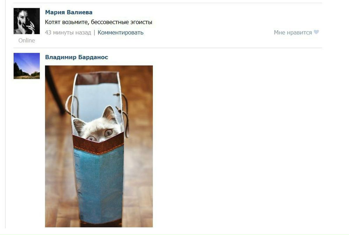 Александр Филенко Сергеевич | Новокузнецк