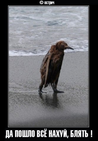 №137, Славик Шумаков, 17.07, Одесса №137, Славик Шумаков, 17.07, Одесса