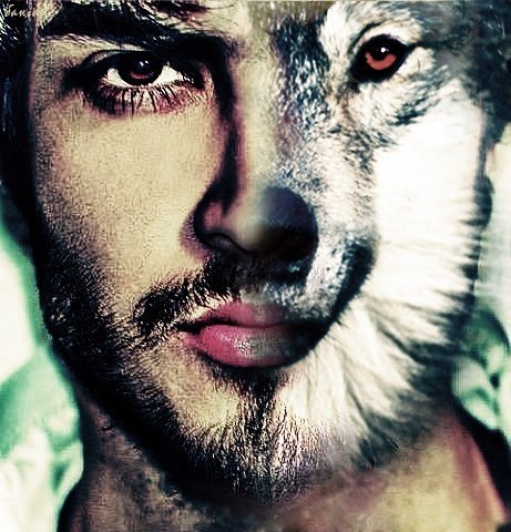 Alisher Kamilovich china_uzb77 | Beijing