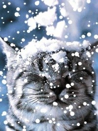 Елена Данная Богом | Санкт-Петербург