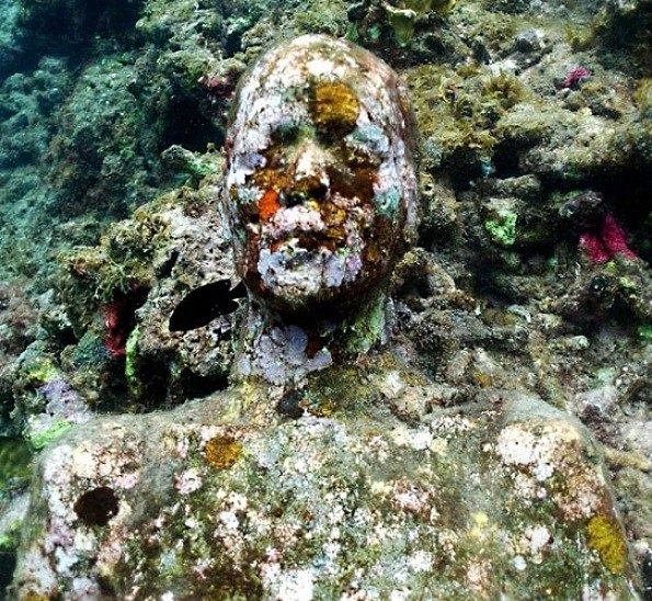 Никита Элхон | Санкт-Петербург