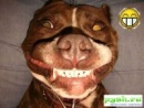 Фотография Антон Зорин