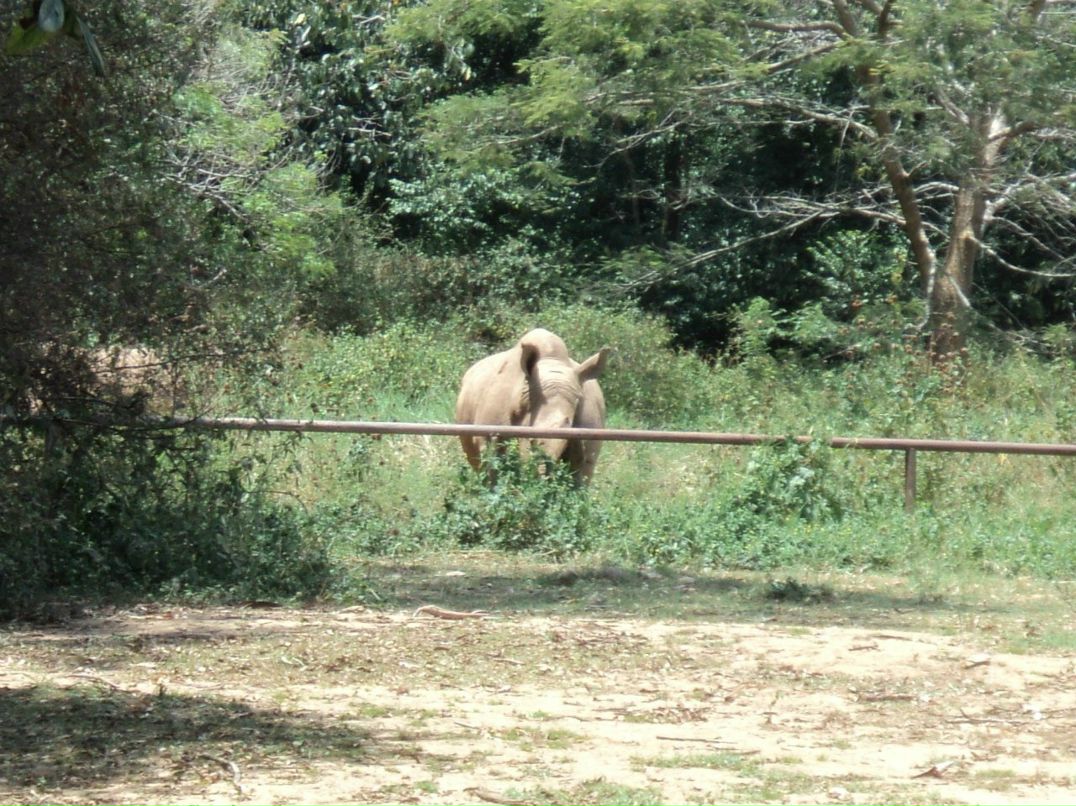 Сергей Дидух | Броды