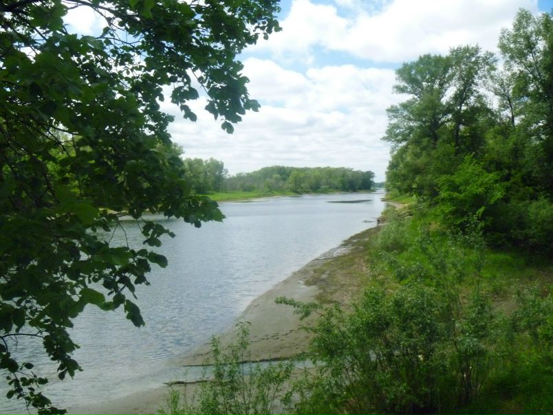 №5, Ольга Залесская №5, Ольга Залесская