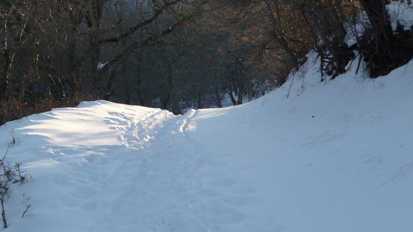 Татьяна Асташова | Новороссийка