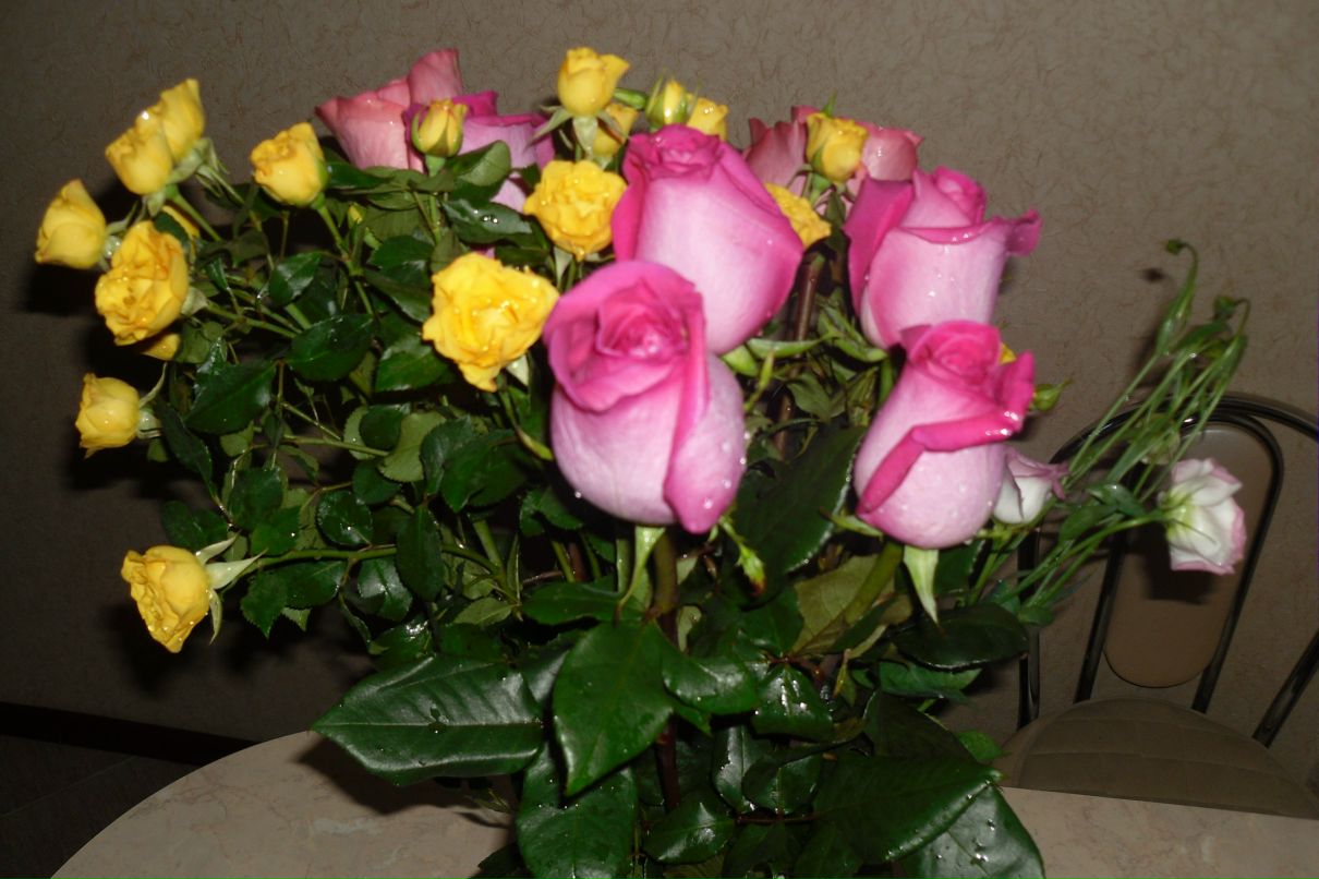 Дарья Тайницкая | Озёры