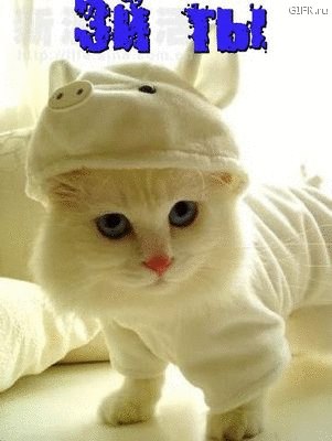 Анжелика Комарова Олеговна | Первомайск