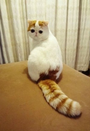 Роман Пономаренко | Киев