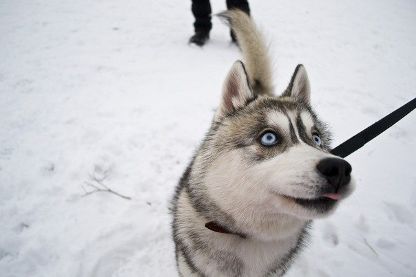 Вячеслав Тамарчук | Тула