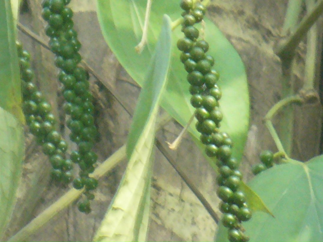 Николай Михайлов | Пермь