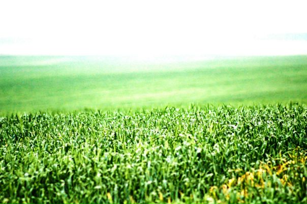 №51, Bilguun Erdenebat, Ulaanbaatar №51, Bilguun Erdenebat, Ulaanbaatar